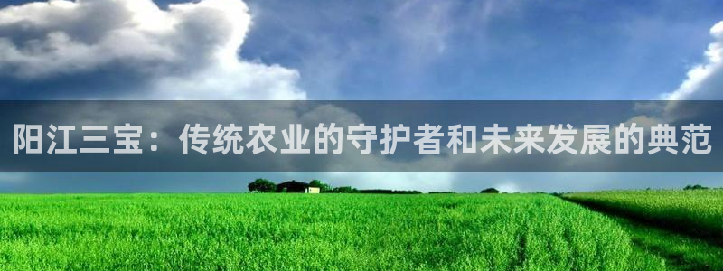 FH凤凰至尊娱乐