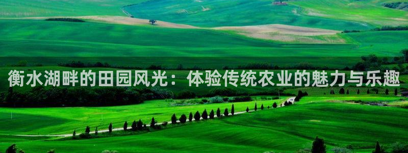 fh至尊凤凰消息的范本