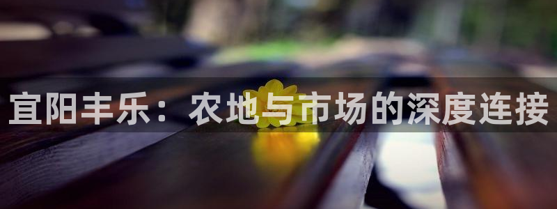 fh至尊20