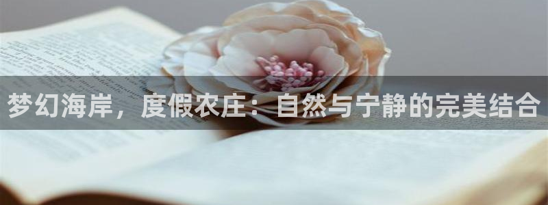 fh至尊基础奖金多少