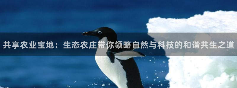 fh至尊吧百度贴吧