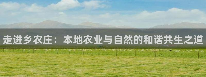 fh至尊平台简介