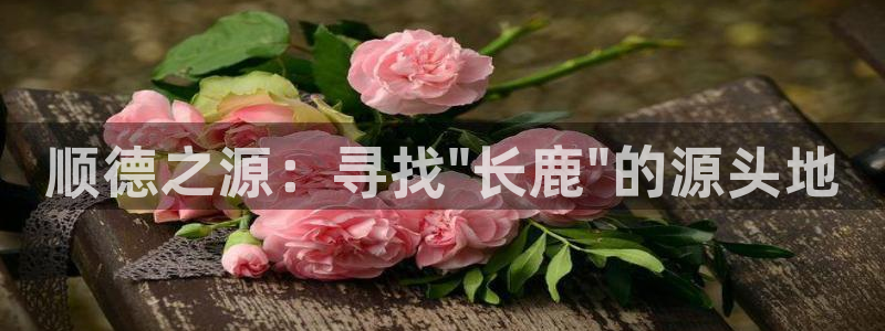 fh至尊平台靠谱吗