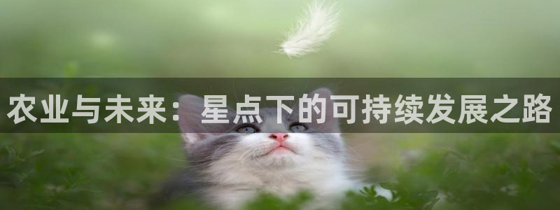 fh至尊平台安全吗