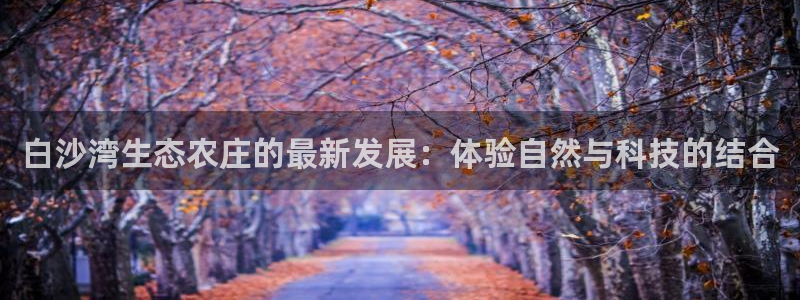 FH至尊是什么