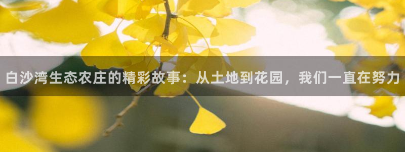 凤凰至尊fh凤凰版0a