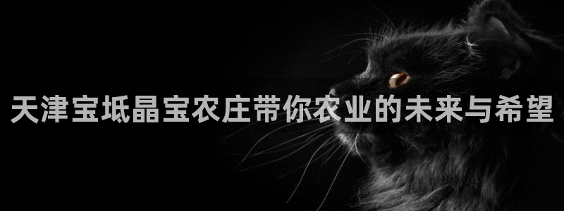 FH至尊官方入口