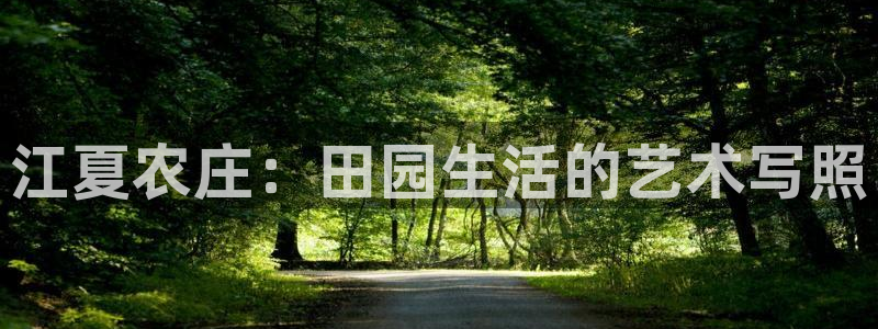 fh至尊平台如何提现