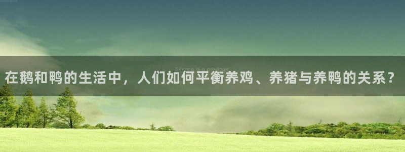 FH至尊黑钱