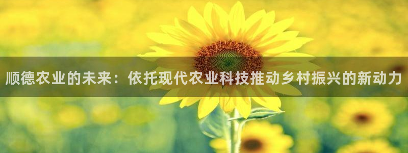 FH至尊VIP