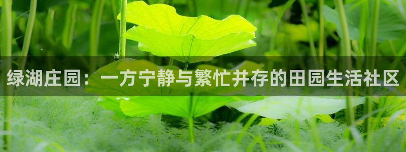 FH至尊平台老板是谁