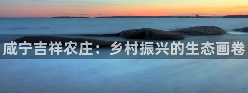 FH至尊隶属哪家公司