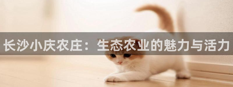 fh至尊是凤凰平台吗