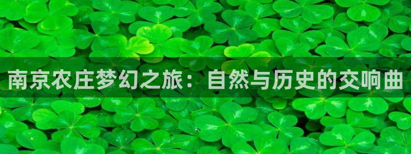 FH至尊登陆