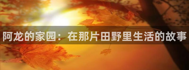 fh至尊是老凤凰平台么