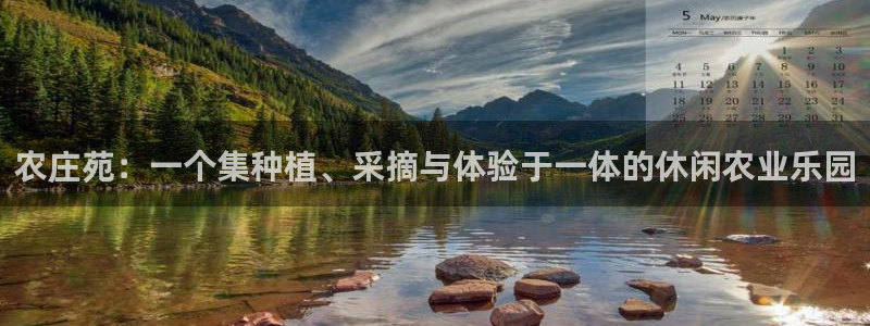 fh至尊平台多少年了