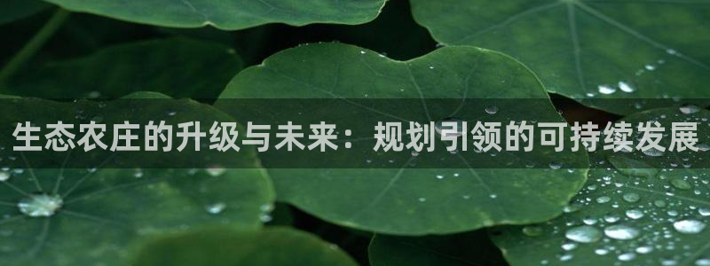 fh至尊最新版本