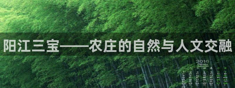 fh至尊正规吗
