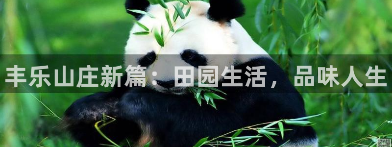FH至尊开户链接