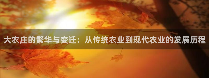 fh至尊经典