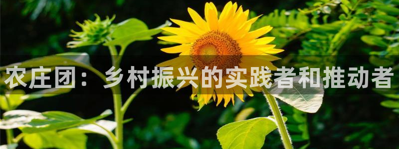 fh至尊20