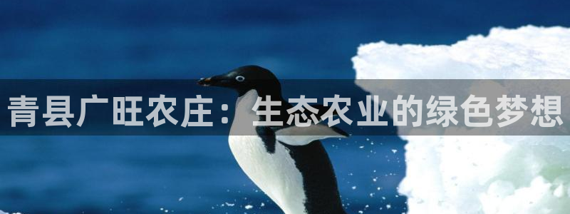 沃尔沃fh500至尊款