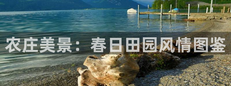 fh至尊注册码怎么获取