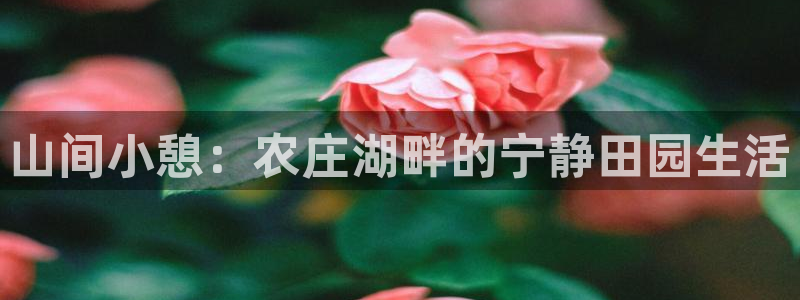 fh至尊冻结
