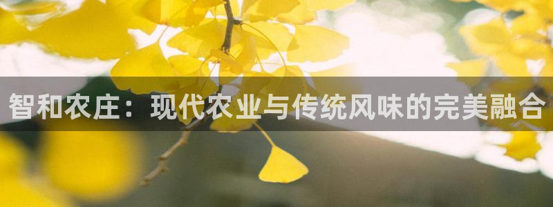 FH至尊黑钱