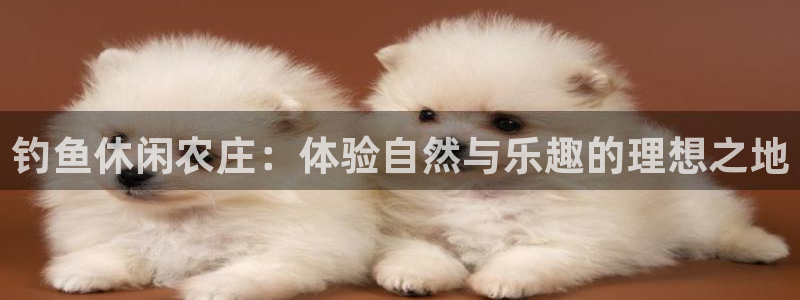 fh至尊网页登入