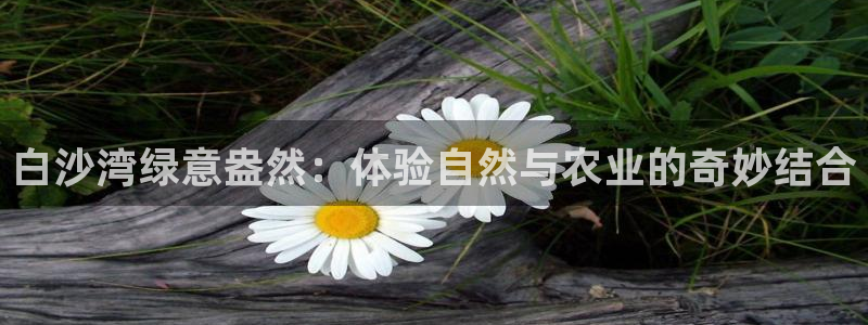 fh至尊为什么不更新了
