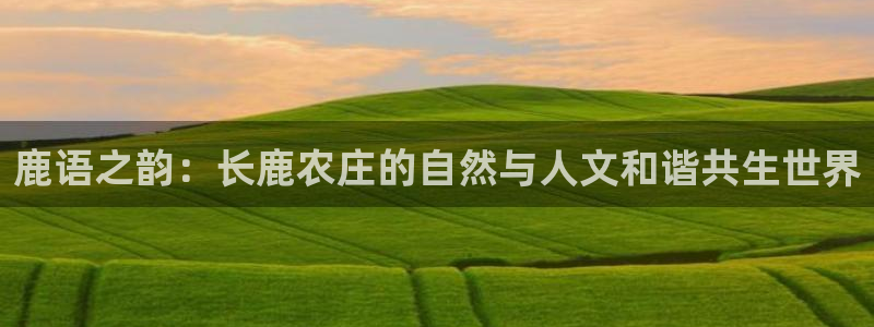 fh至尊吧百度贴吧