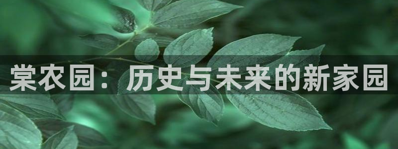 fh至尊黑铁