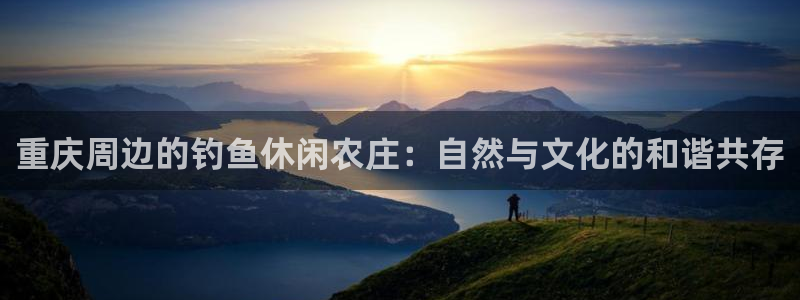 fh至尊网页登入