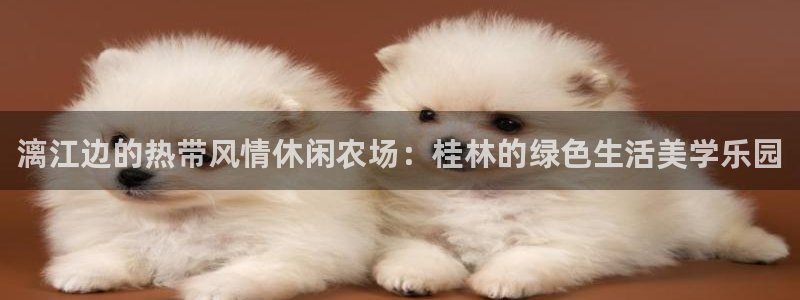 fh至尊app靠谱吗