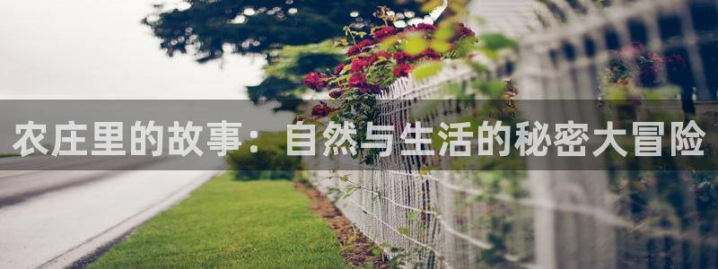 FH至尊平台怎么样