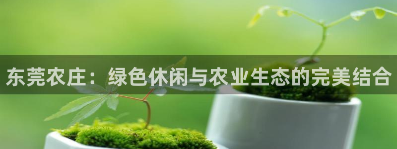 fh至尊是老凤凰平台吗