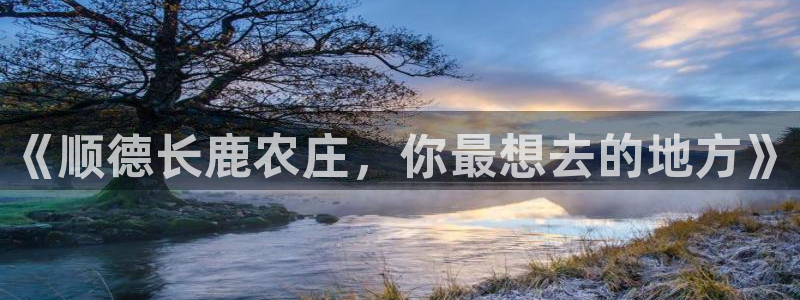 沃尔沃fh500至尊款