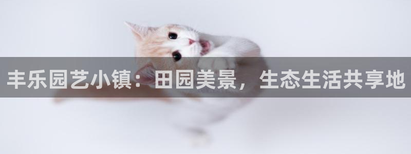 fh至尊是什么牌子