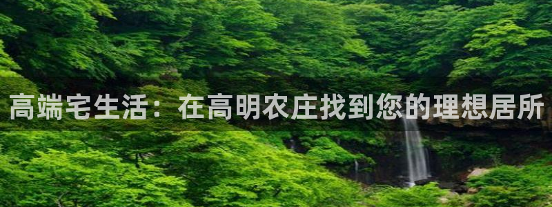 fh至尊凤凰代理