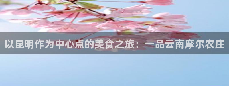沃尔沃fh500至尊款