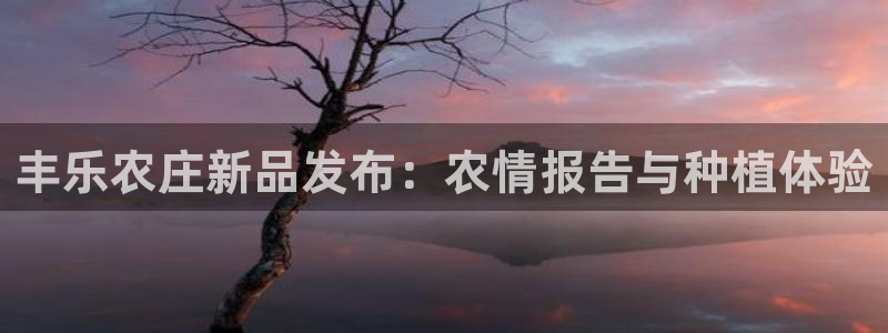 凤凰娱乐FH至尊