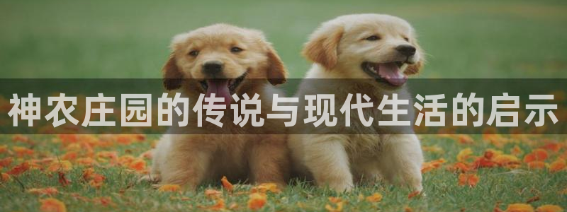 fh至尊游戏客服