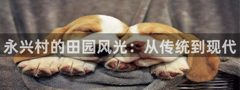 FH至尊凤凰平台登录