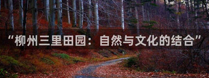 沃尔沃fh至尊旗舰版