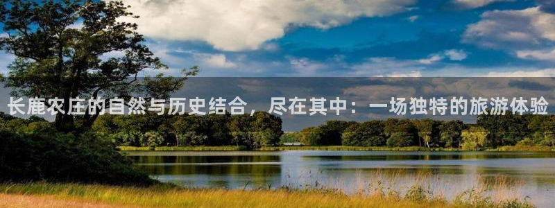 fh至尊怎么登录