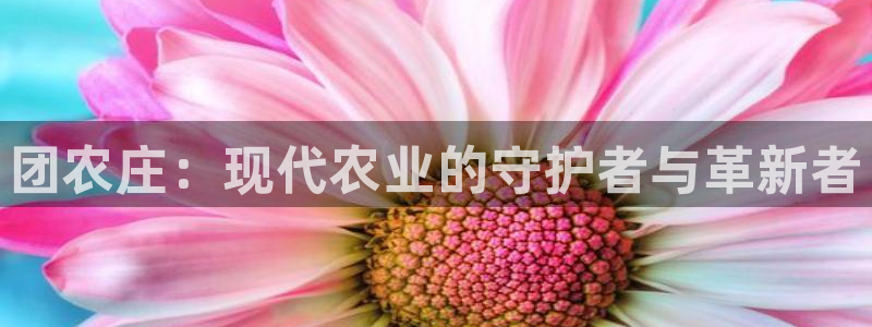 fh至尊基础奖金多少