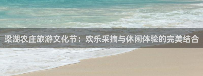 fh至尊品牌介绍