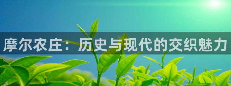 fh至尊平台如何提现