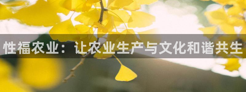 fh至尊游戏代理